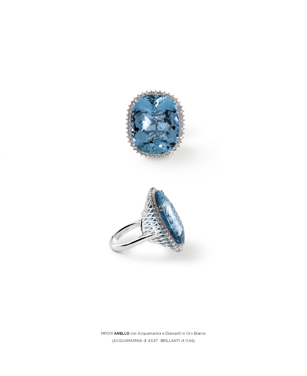 catalog 6