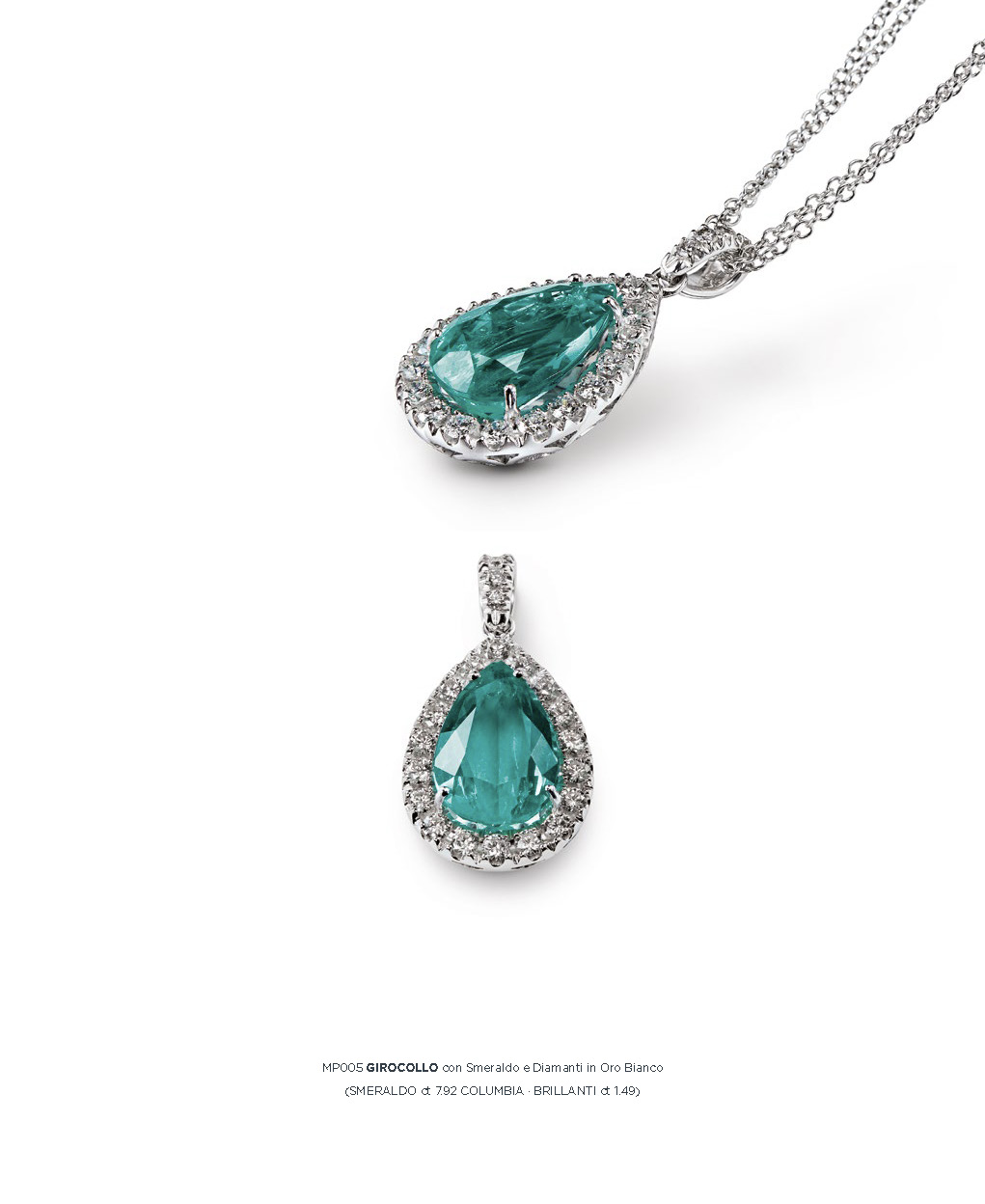 catalog 6